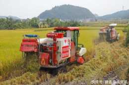 貴州獨山：水稻機械搶收開鐮