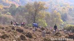 臨洮:農機助力馬鈴薯收穫“提質增效”