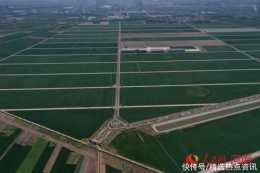 中原農谷：打造種業“國之重器”