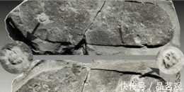 5億年前踩了三葉蟲一腳的傢伙，因為這一腳，可把科學家給難倒了