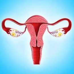 卵巢早衰危害大，中醫來辨證診治