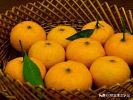 柑、橙、橘、柚的區別！柚子是柑橘類水果的一種