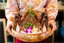 冬季去北海道遊玩，除了蟹道樂還有這些螃蟹是你必須要吃的！