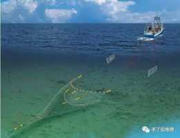 海洋中最大的殺手-底拖網