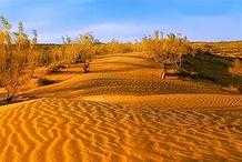中國第二大沙漠，為何是片“綠”沙漠？知道為什麼嗎？答案在這裡