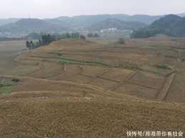 “十四五”期間重慶將改造提升202萬畝高標準農田土地綜合產能預計提升10%