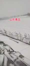 這次寒潮有點狠，山東江蘇安徽多地雨雪、大風齊襲！蔬菜咋“抗凍”？