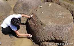4千年前的雕齒獸,揹著半噸重的甲殼,不怕劍齒虎,卻自相殘殺