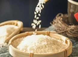 這才是正確的存米方式：防蟲防潮，不發黴，定量取米！