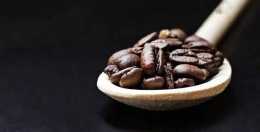 大批次烘焙的咖啡豆是如何把關品質的？