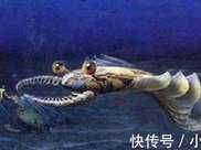 在蟲族和蝦族圍攻下，默默進化的魚類，憑藉著它稱霸海洋億萬年
