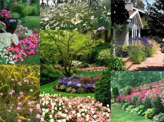 造一片花境，讓庭院更美