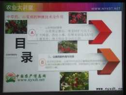 中草藥：山茱萸的種植技術及作用