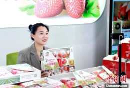 江蘇鹽都“小草莓”撬動近十億元產業 奔向世界大舞臺