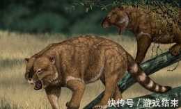 史上咬力最強的哺乳動物袋獅為何消失匿跡?
