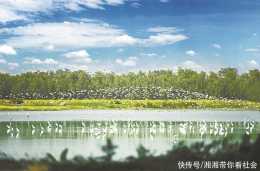 廣州建成自然保護地近11萬公頃城內生物多樣性保護工作見成效
