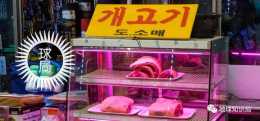 朝鮮狗肉風俗 | 地球知識局