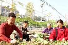 譙城區沙土鎮：苔幹種植曬出“致富經”