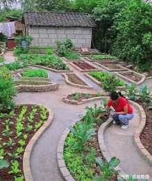 重慶一男子半年打造“菜地公園”：共有80種蔬菜，種出了成就感