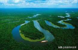 全球最大熱帶雨林--亞馬遜雨林