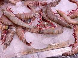 菜市場碰到這5種蝦我從不放過，價格不貴營養足，目前無法養殖
