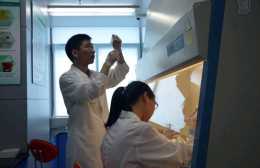 東莞醫生領銜，繪製中國兒童發育障礙的基因複製數變異圖譜