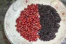 紅豆和它是絕配！比阿膠還養顏，經常蒸著吃，助你好氣色常相伴