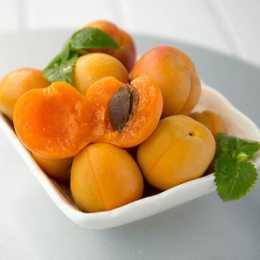 仁用杏中的極品大扁杏繁殖及栽植方式與株行距栽培技術