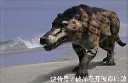 滅絕50萬年的史前生物“驢頭狼”，今現身神農架，它在預示著什麼