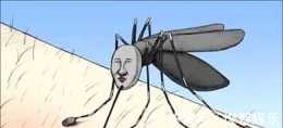 科學家從河馬汗液上得到靈感,發現讓蚊子"滑倒"才是防蚊好途徑