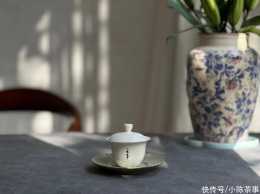 從武夷巖茶、白茶，到紅茶，老茶樹的樹枝，應該是什麼顏色？