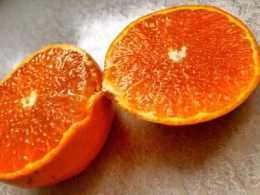 柑橘的整形修剪中的大小年結果