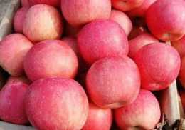 金冠蘋果和青香蘋果的栽培，修剪的小技巧，你知道多少呢？
