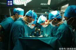 最新突破！異種多器官多組織同期移植術在西安成功實施