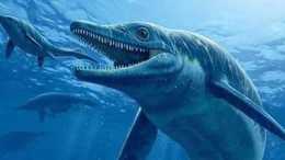 紐西蘭大魚龍,最有可能超過藍鯨的史前動物,眼珠子比籃球還大