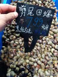 湖北宜昌：超市水產品豐富，鯽魚6元一斤，田螺7.99元一斤