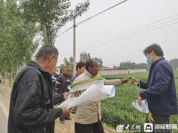 聊城：病蟲害防控關鍵期 農技服務到麥田