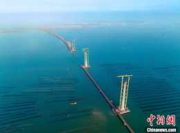 大灣區工程黃茅海通道專案高欄港大橋主塔突破200米