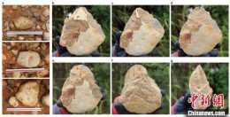 中國南方80萬年前古人如何打製手斧？實驗考古揭示具較強設計性