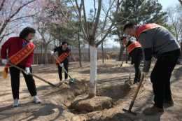 第38個首都全民義務植樹日 東城區開展植樹活動