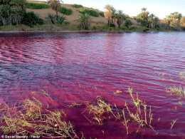 死海附近一湖泊突呈血紅色，約旦政府已派出技術“解密”小組
