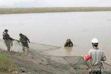 保護長江漁業資源 武漢市洪山區為魚兒開通“回家專線”