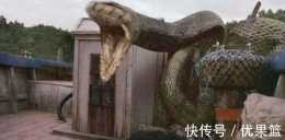 世界上真實存在的大蟒蛇,能巨大到什麼程度?比卡車還大一倍