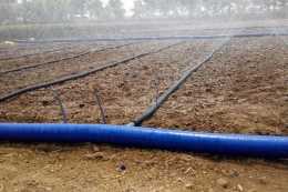 詳細介紹五種灌溉技術，很實用，讓種植科學起來！