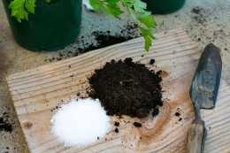 各種不同型別的盆栽植物土配製方案，養花必備，可避免植物爛根