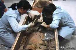河南甕棺發現上古幼童屍骸，頭骨陪葬品刷新歷史，老外：夢幻國度