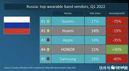 俄羅斯可穿戴腕帶裝置廠商排行：國產品牌前五佔三席