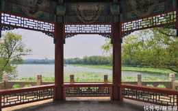 北京市屬公園荷花進入始花期，賞荷觀蓮攻略來了
